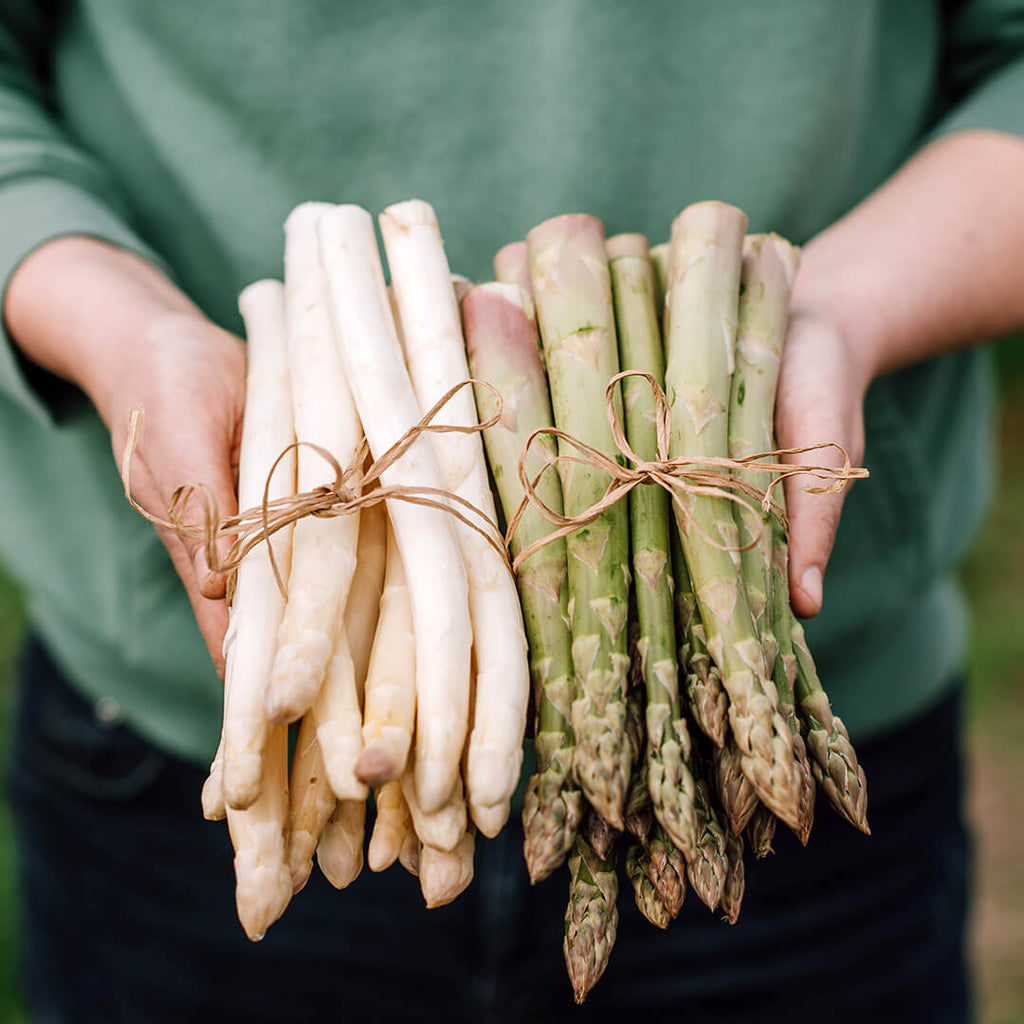 Bioland Spargel kaufen – Frisch, regional & direkt nach Hause ✓